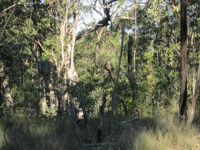 L1a Bruxner Hwy, Tabulam NSW 2469