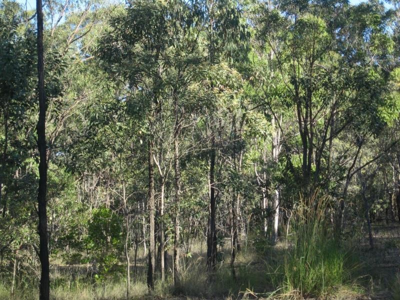 L1a Bruxner Hwy, Tabulam NSW 2469