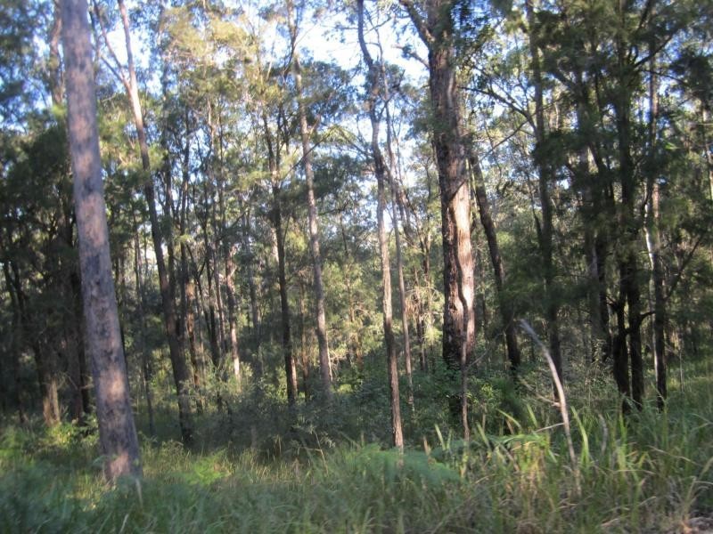 L1a Bruxner Hwy, Tabulam NSW 2469