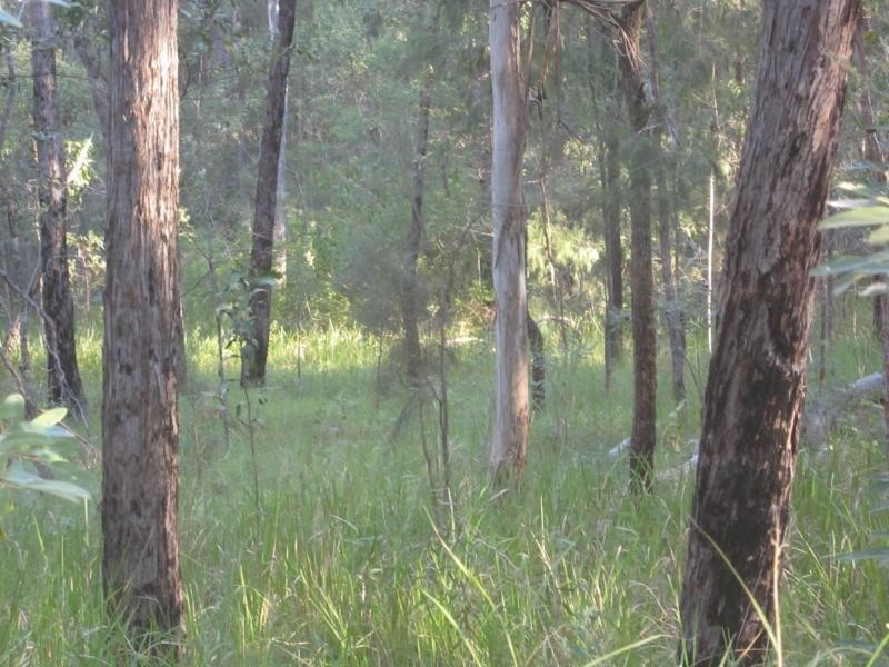 L1a Bruxner Hwy, Tabulam NSW 2469