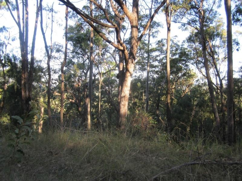 L1a Bruxner Hwy, Tabulam NSW 2469