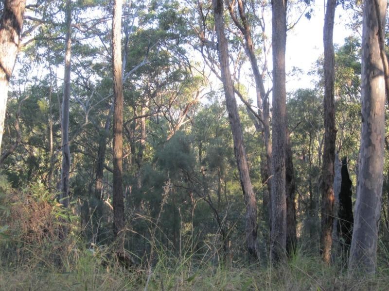 L1a Bruxner Hwy, Tabulam NSW 2469