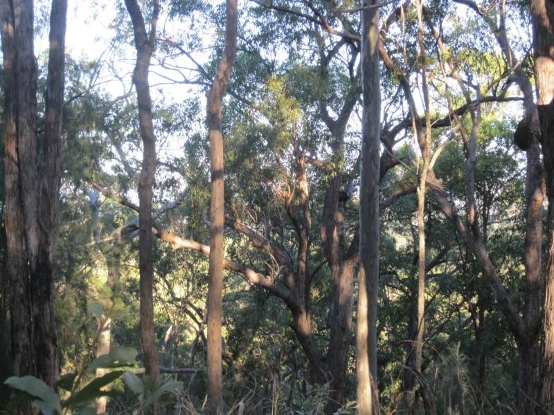 L1a Bruxner Hwy, Tabulam NSW 2469