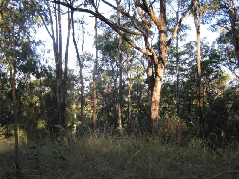 L1a Bruxner Hwy, Tabulam NSW 2469