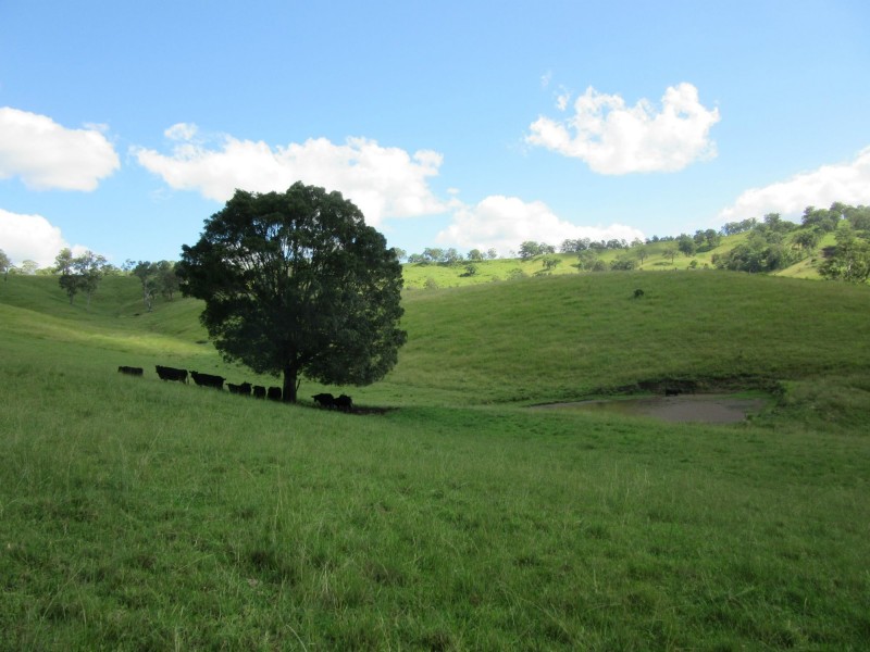 109 Apple Gum Road, Kyogle NSW 2474