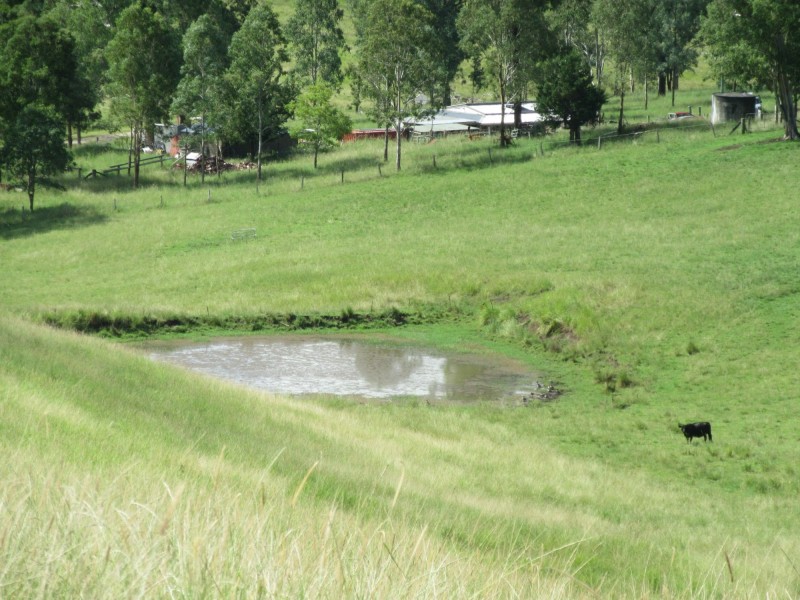 109 Apple Gum Road, Kyogle NSW 2474