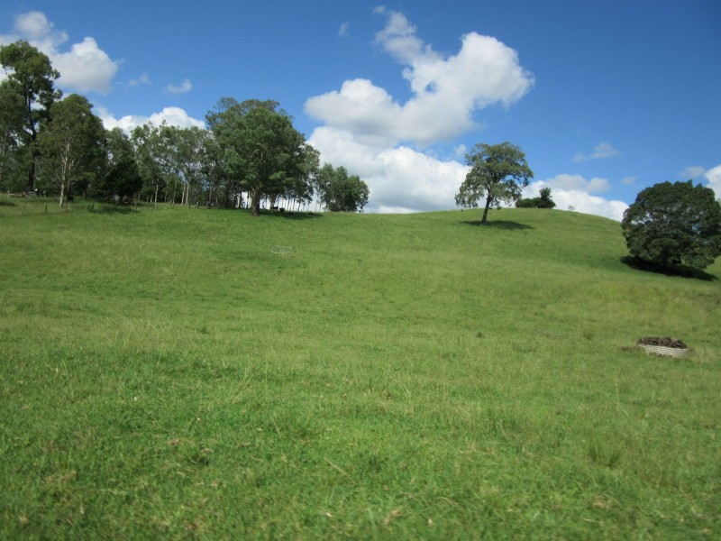 109 Apple Gum Road, Kyogle NSW 2474