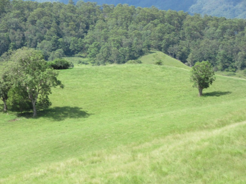 109 Apple Gum Road, Kyogle NSW 2474