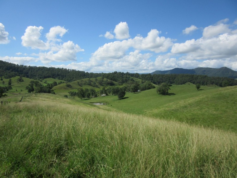 109 Apple Gum Road, Kyogle NSW 2474