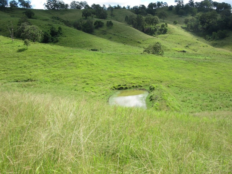 109 Apple Gum Road, Kyogle NSW 2474