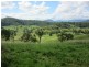 109 Apple Gum Road, Kyogle NSW 2474