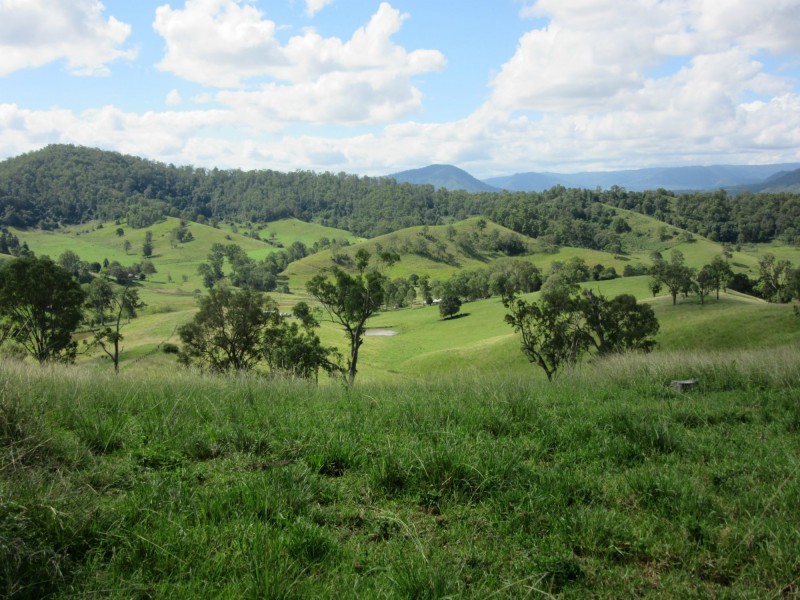 109 Apple Gum Road, Kyogle NSW 2474