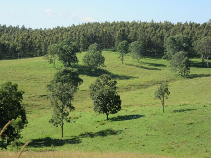 263 Dunns Road, Casino NSW 2470