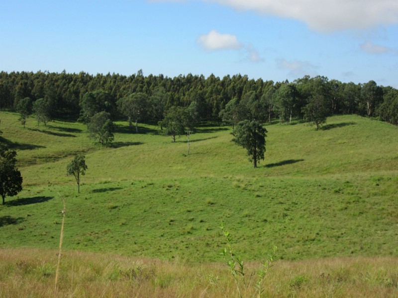 263 Dunns Road, Casino NSW 2470