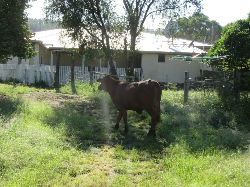 263 Dunns Road, Casino NSW 2470