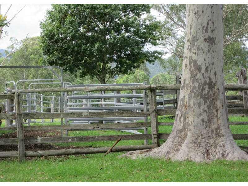 77 Sandilands Street, Bonalbo NSW 2469