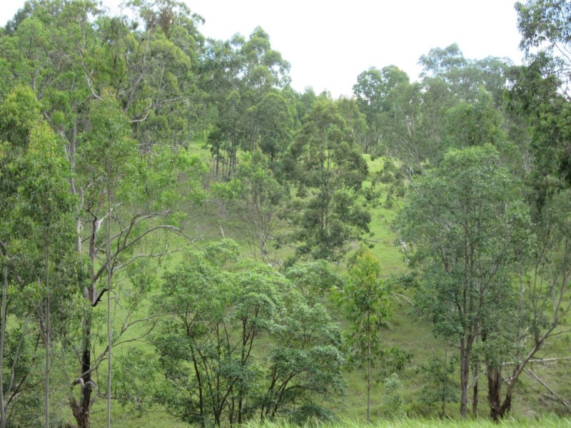 77 Sandilands Street, Bonalbo NSW 2469