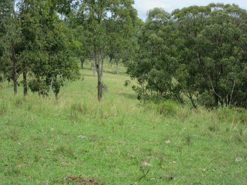 77 Sandilands Street, Bonalbo NSW 2469