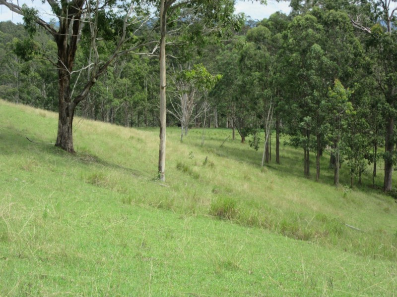 77 Sandilands Street, Bonalbo NSW 2469