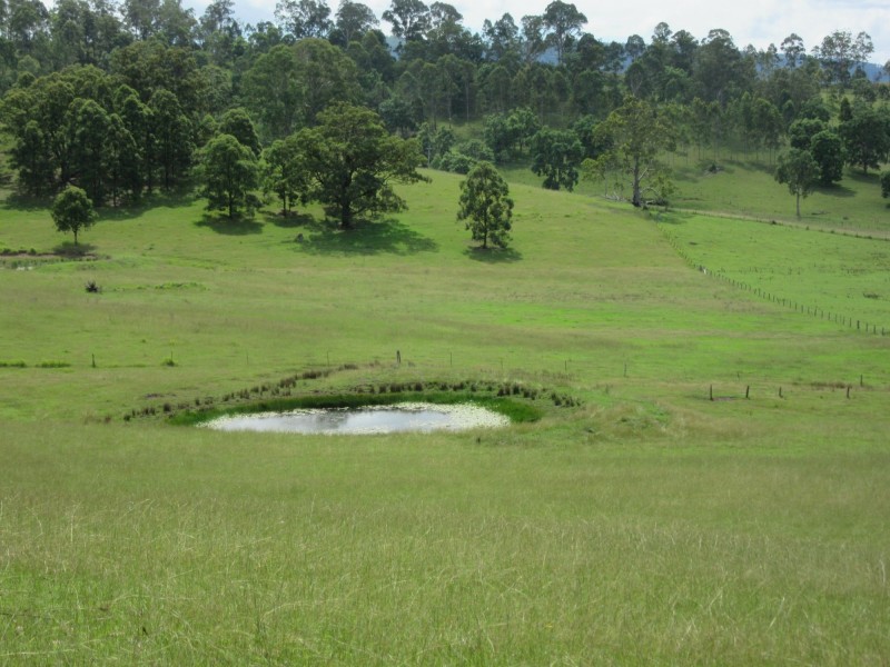 77 Sandilands Street, Bonalbo NSW 2469