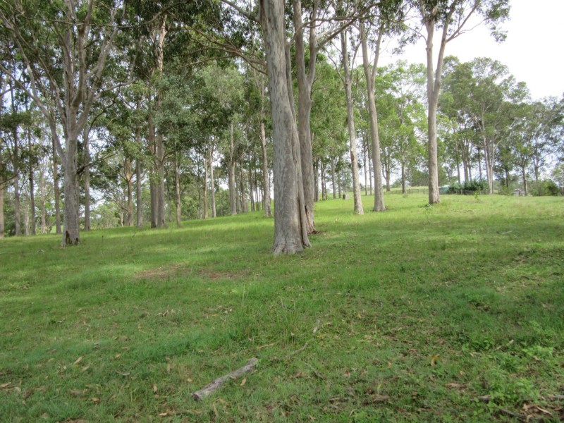 77 Sandilands Street, Bonalbo NSW 2469