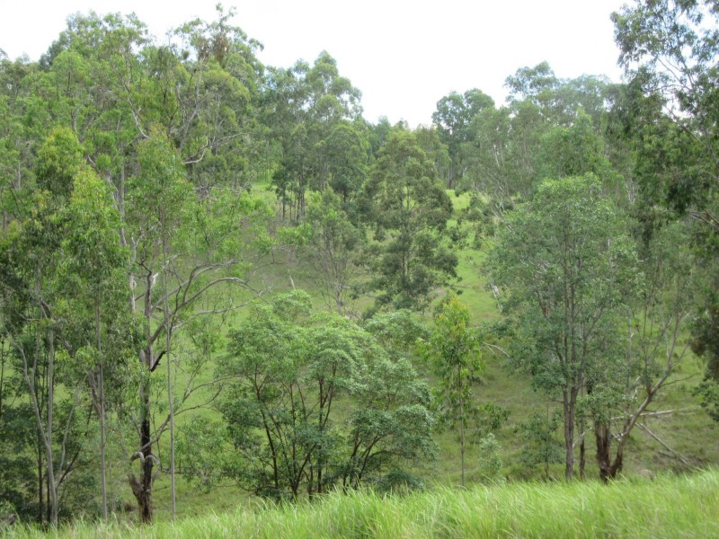 77 Sandilands Street, Bonalbo NSW 2469