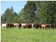11607a Clarence Way, Tabulam NSW 2469