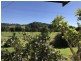 Wiangaree NSW 2474