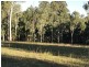 Lot 104 Paddys Flat Rd St, Tabulam NSW 2469