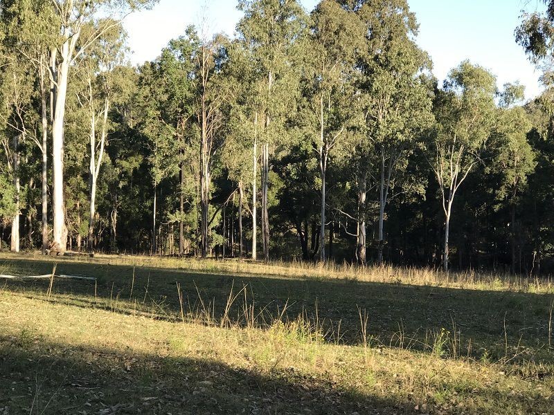 Lot 104 Paddys Flat Rd St, Tabulam NSW 2469
