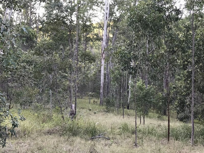 Lot 104 Paddys Flat Rd St, Tabulam NSW 2469