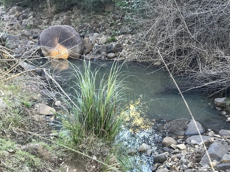 Lot 104 Paddys Flat Rd St, Tabulam NSW 2469