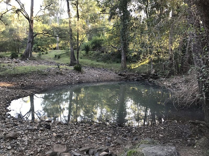 Lot 104 Paddys Flat Rd St, Tabulam NSW 2469