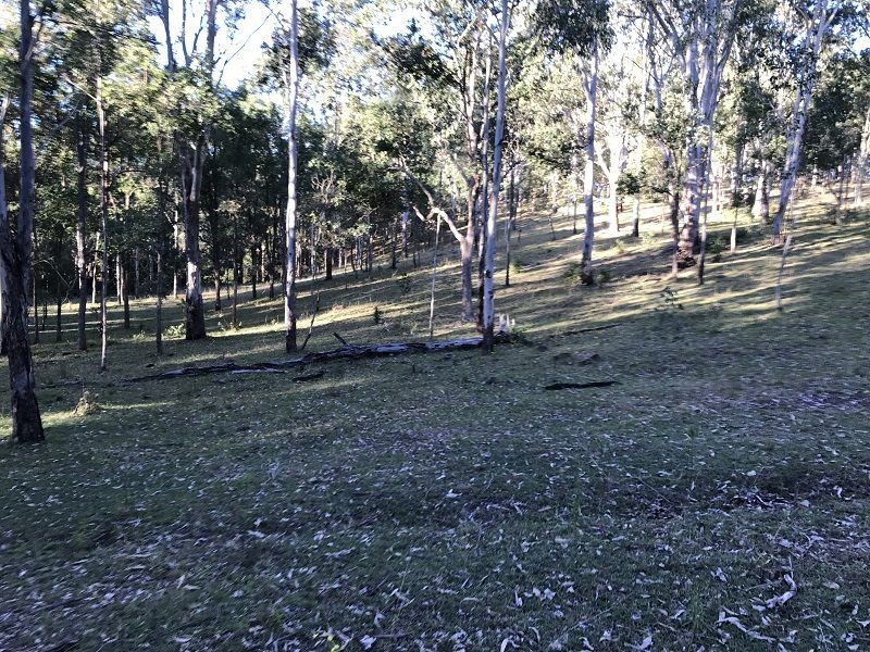Lot 104 Paddys Flat Rd St, Tabulam NSW 2469