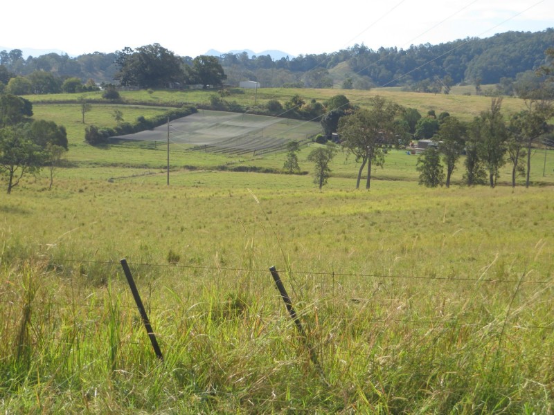 Kyogle NSW 2474