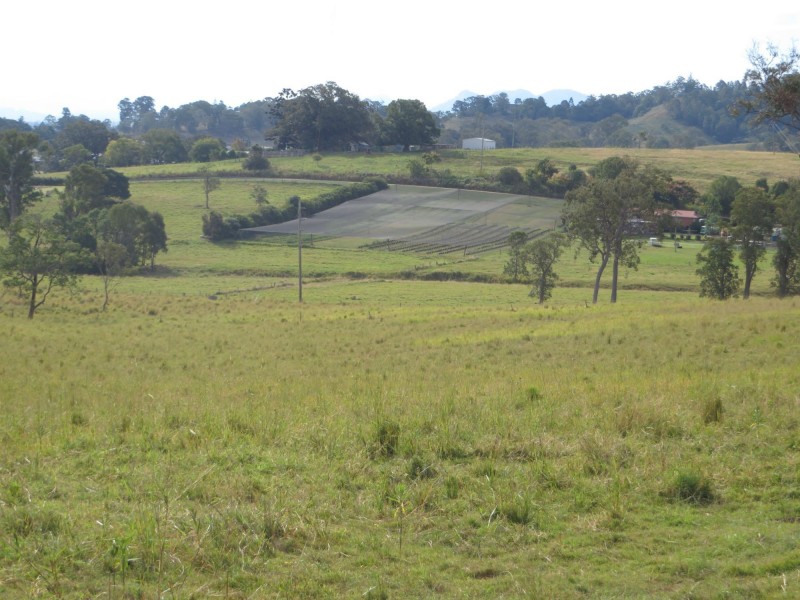 Kyogle NSW 2474