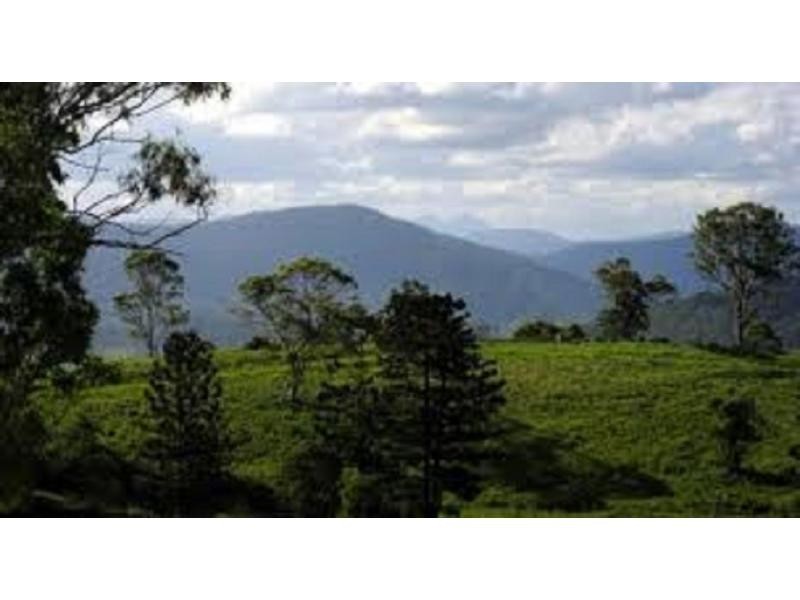 264 Blackhorse Road, VIA KYOGLE, Eden Creek NSW 2474