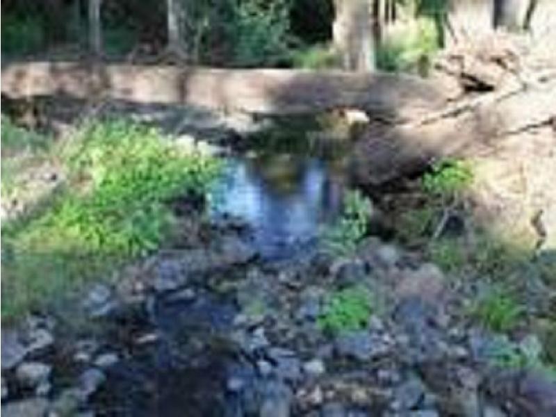 264 Blackhorse Road, VIA KYOGLE, Eden Creek NSW 2474