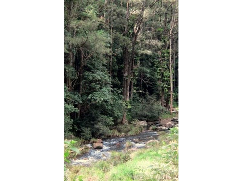 264 Blackhorse Road, VIA KYOGLE, Eden Creek NSW 2474