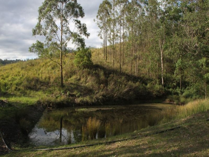 264 Blackhorse Road, VIA KYOGLE, Eden Creek NSW 2474