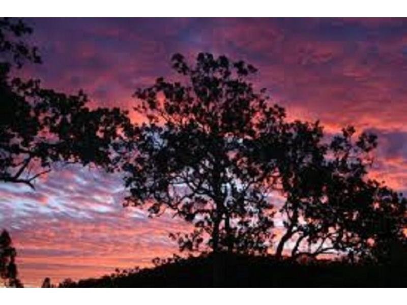 264 Blackhorse Road, VIA KYOGLE, Eden Creek NSW 2474