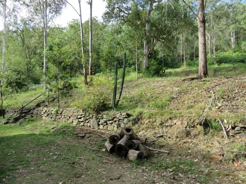 264 Blackhorse Road, VIA KYOGLE, Eden Creek NSW 2474