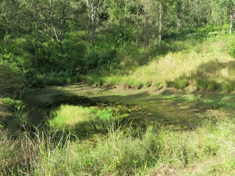 264 Blackhorse Road, VIA KYOGLE, Eden Creek NSW 2474