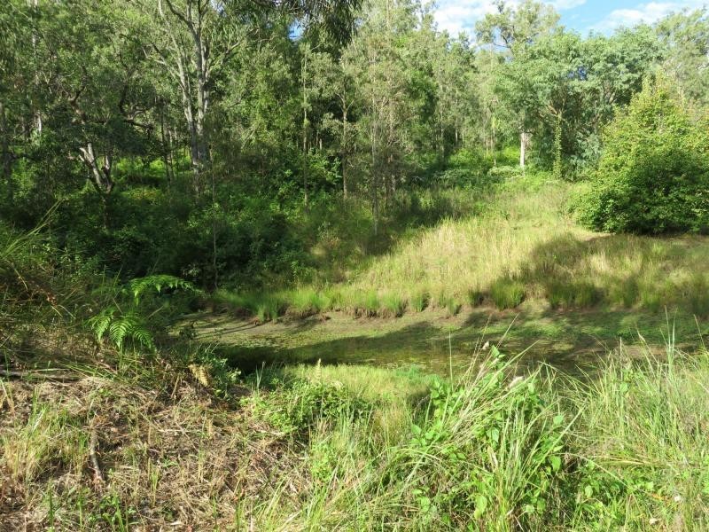 264 Blackhorse Road, VIA KYOGLE, Eden Creek NSW 2474