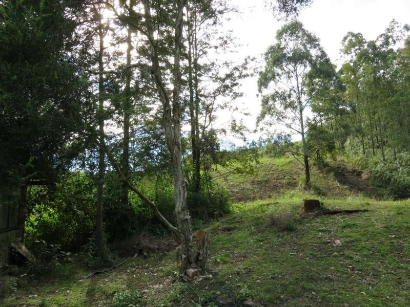 264 Blackhorse Road, VIA KYOGLE, Eden Creek NSW 2474