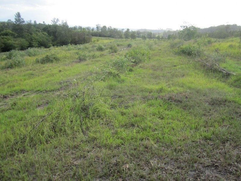 624 Tabulam Road, Tabulam NSW 2469