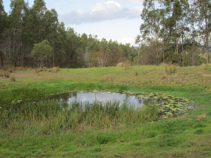 624 Tabulam Road, Tabulam NSW 2469