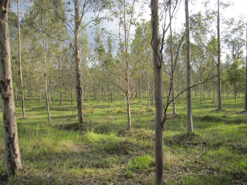 624 Tabulam Road, Tabulam NSW 2469