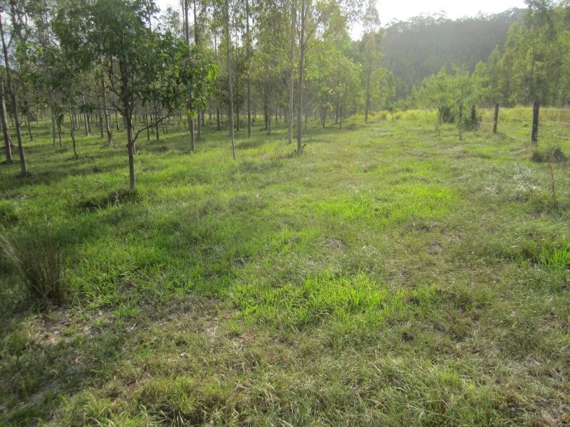 624 Tabulam Road, Tabulam NSW 2469