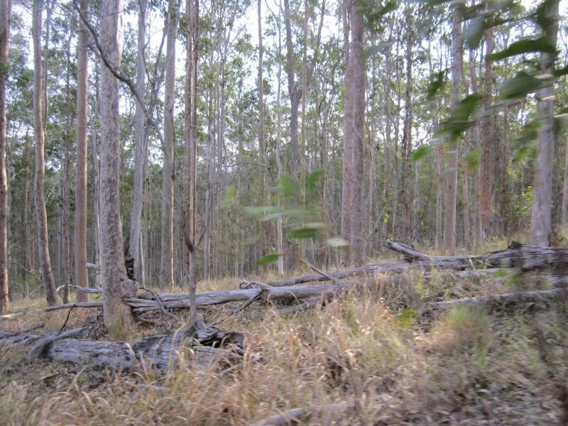 624 Tabulam Road, Tabulam NSW 2469